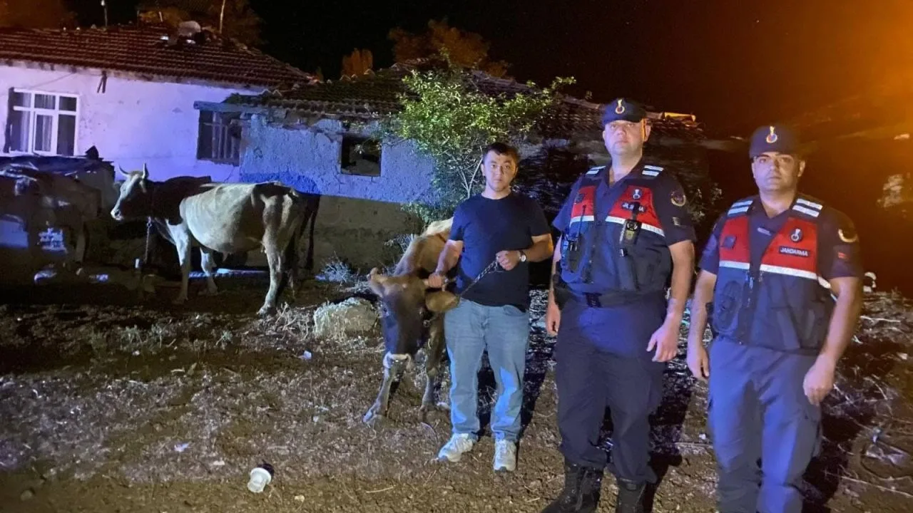 Yozgat'ın Kadışehri ilçesinde kaybolan 5 büyükbaş hayvanı bulan Asayiş Timi,