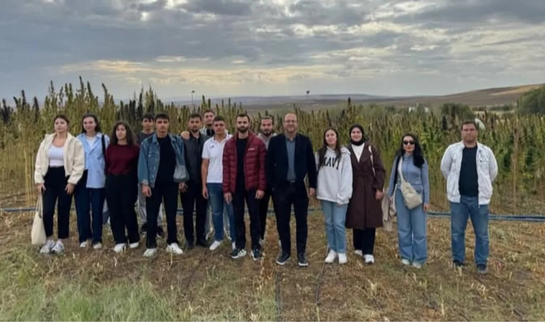 Yozgat Bozok Üniversitesi Ziraat Fakültesi Tarla Bitkileri Bölümü, kenevir tarımı