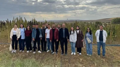 Yozgat Bozok Üniversitesi Ziraat Fakültesi Tarla Bitkileri Bölümü, kenevir tarımı