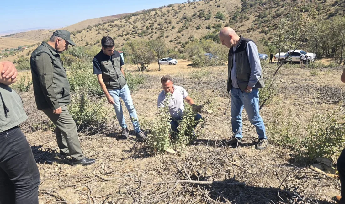 Yozgat Orman İşletme Müdürlüğü, orman varlığını güçlendirmek ve sürdürülebilirliği sağlamak