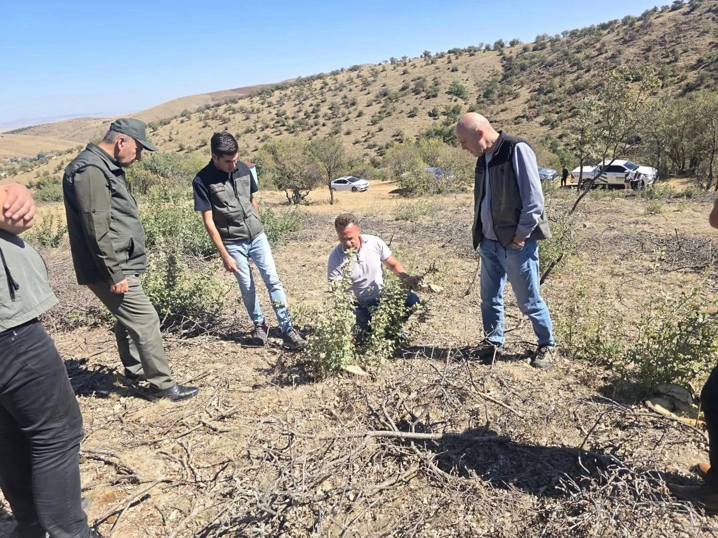 Yozgat Orman İşletme Müdürlüğü, orman varlığını güçlendirmek ve sürdürülebilirliği sağlamak