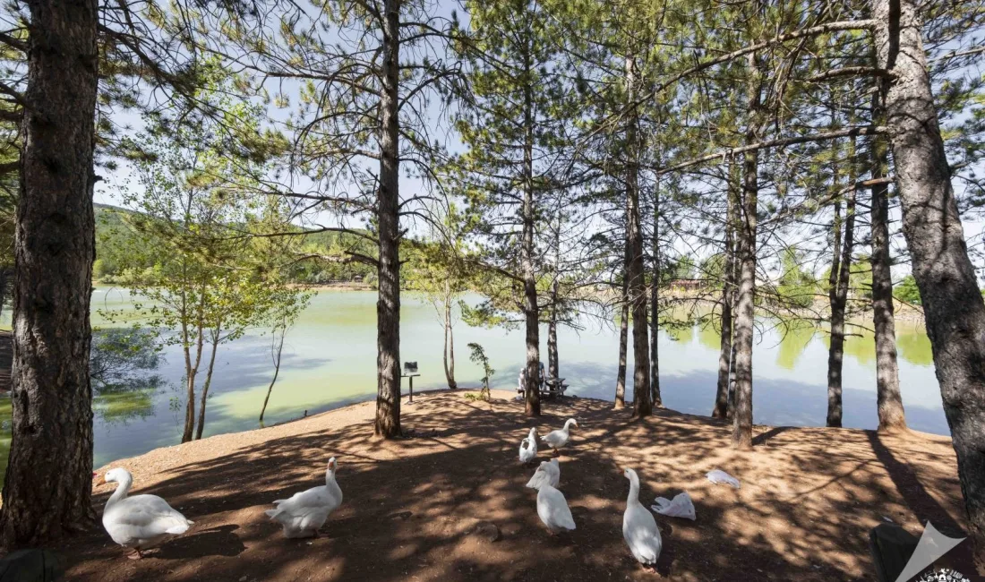 Yozgat Valiliği, park, bahçe ve piknik alanlarındaki artan çevre kirliliğine