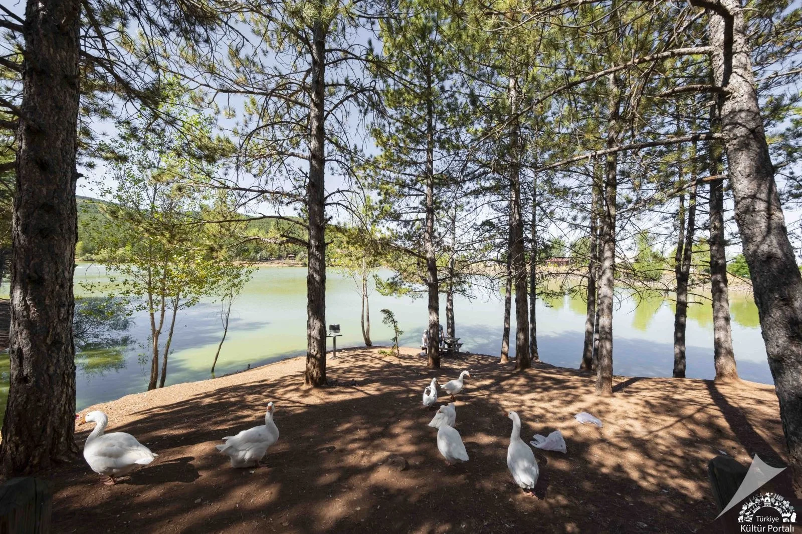 Yozgat Valiliği, park, bahçe ve piknik alanlarındaki artan çevre kirliliğine