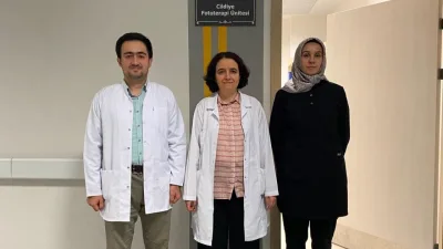 Yozgat Bozok Üniversitesi Tıp Fakültesi Araştırma ve Uygulama Hastanesi, bölge