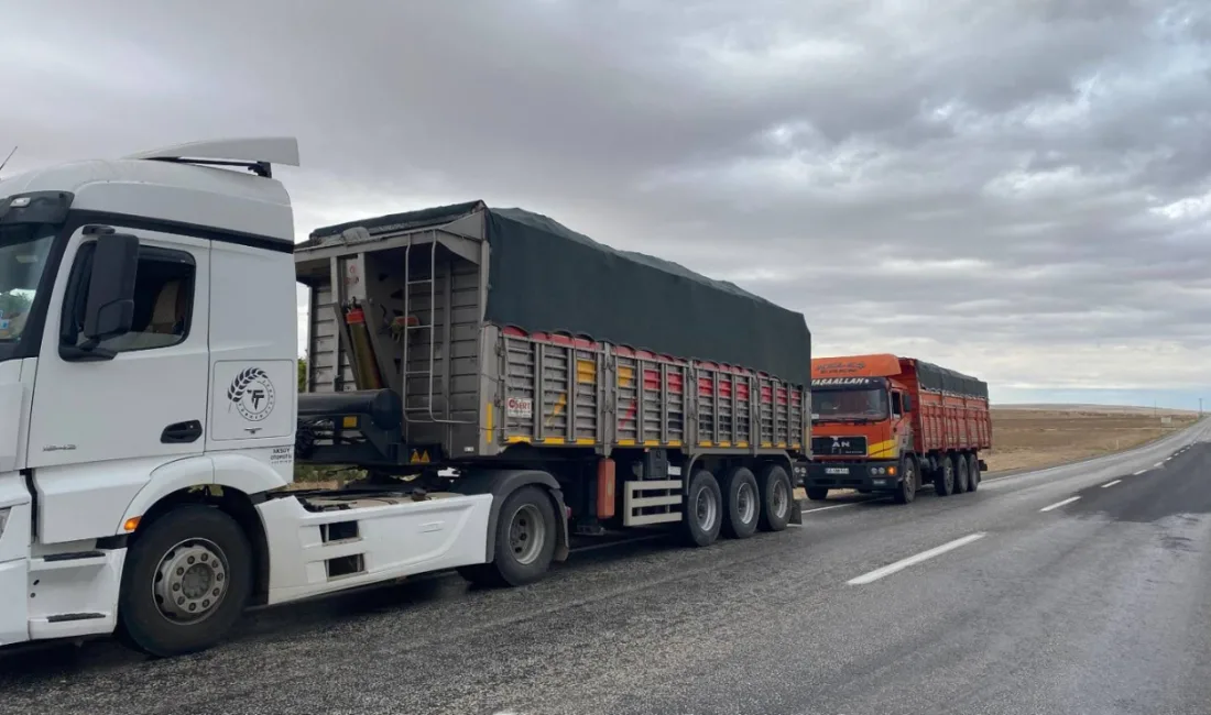 Yozgat'ın Boğazlıyan ilçesinde yapılan trafik denetiminde, aşırı yük taşıyan iki