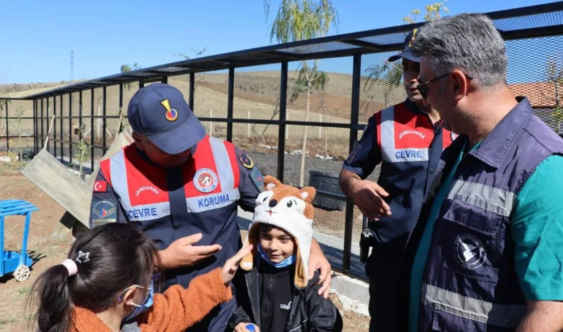 Yozgat Çevre Doğa ve Hayvanları Koruma Timi, 4 Ekim Hayvanları