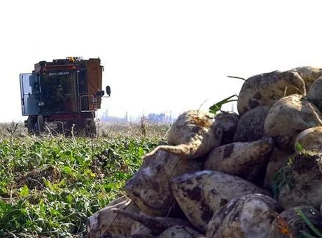 Tarım ve Orman Bakanlığı, Türkiye Şeker Fabrikaları A.Ş. (TÜRKŞEKER) tarafından