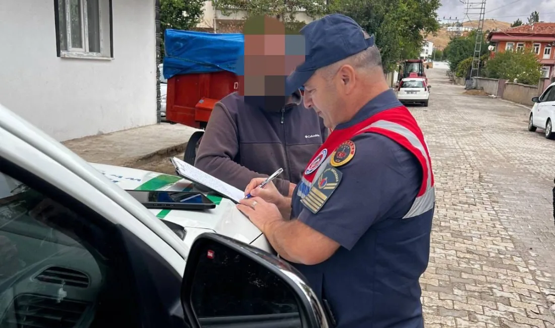 Yozgat’ın Şefaatli ilçesinde, jandarma ekiplerinin denetiminde Pitbull Terrier cinsi yasaklı