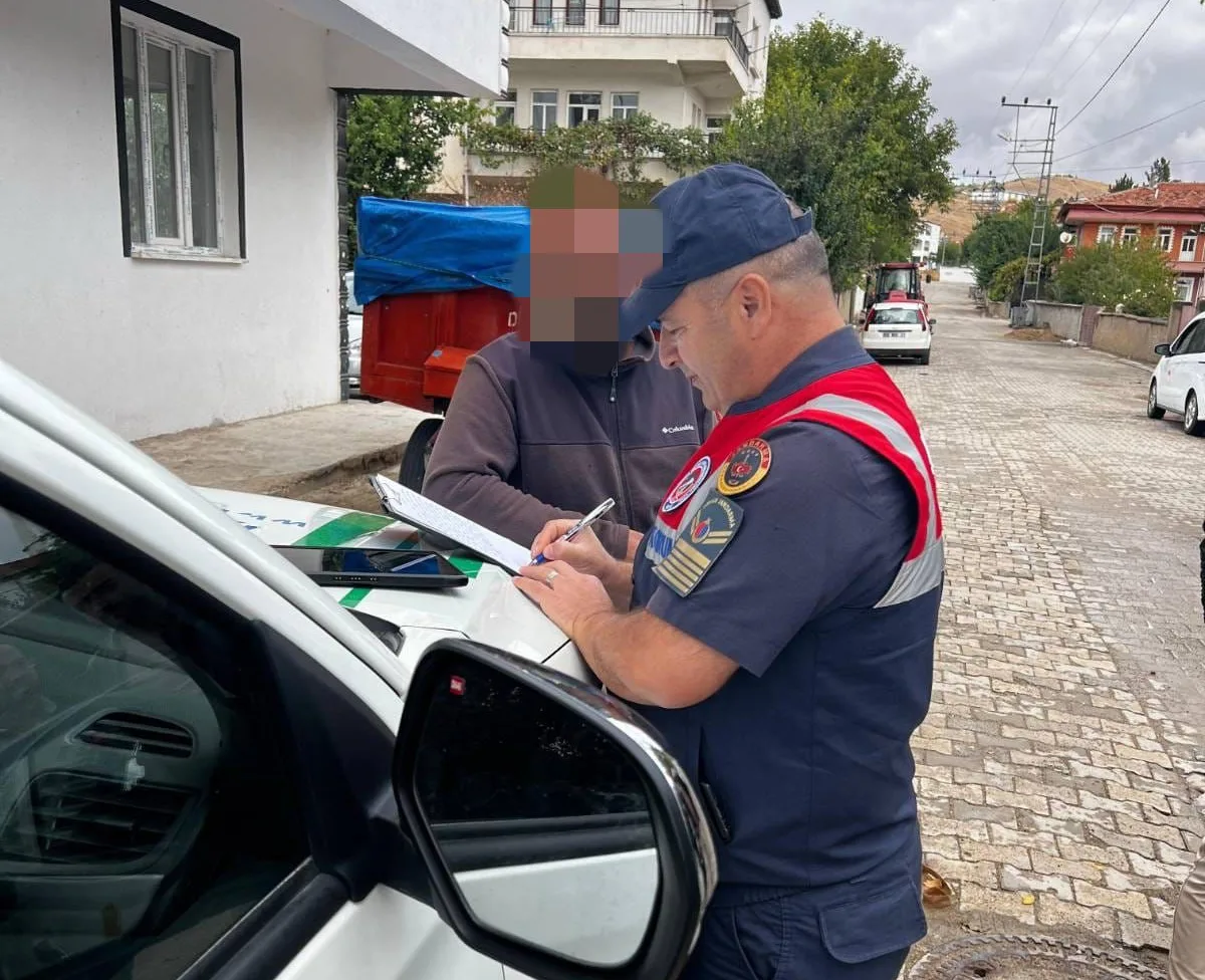 Yozgat’ın Şefaatli ilçesinde, jandarma ekiplerinin denetiminde Pitbull Terrier cinsi yasaklı