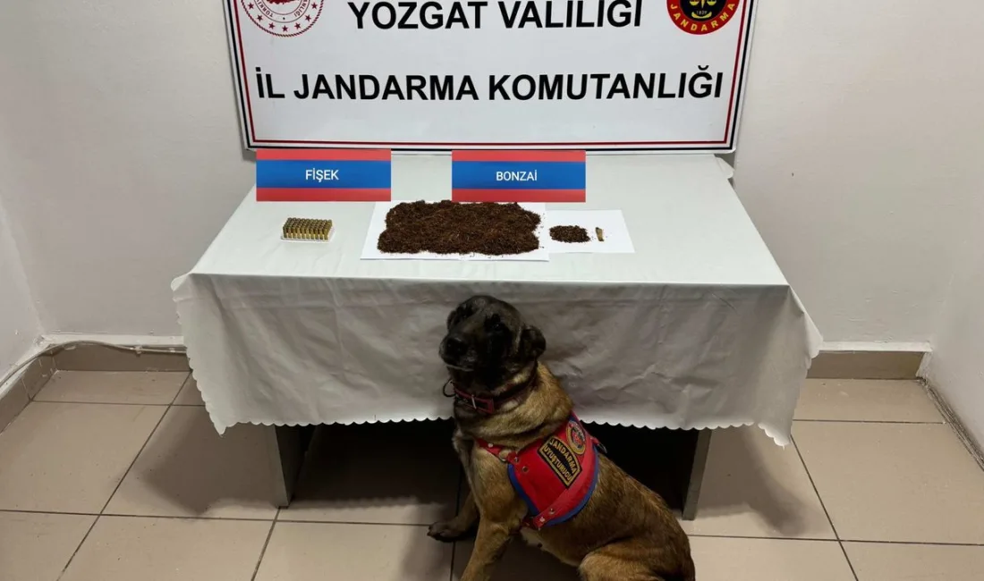 Yozgat’ta düzenlenen uyuşturucu operasyonunda bir araçta 142 gram bonzai ve