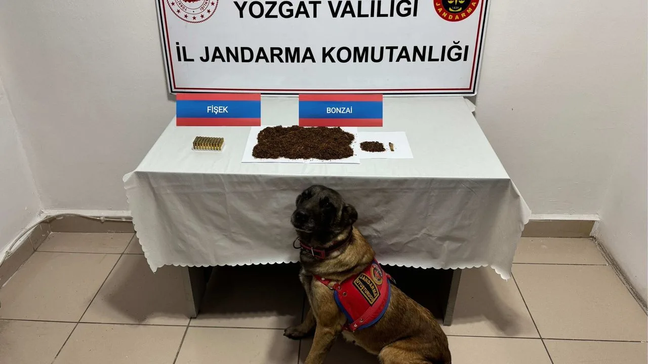 Yozgat’ta düzenlenen uyuşturucu operasyonunda bir araçta 142 gram bonzai ve