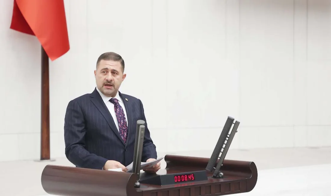 Milliyetçi Hareket Partisi (MHP) Yozgat Milletvekili İbrahim Ethem Sedef, Türkiye