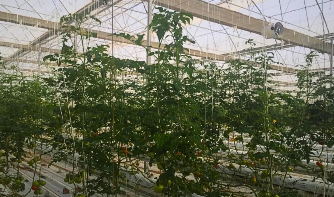 Yozgat Bozok Üniversitesi Ziraat Fakültesi, Çözüm Koleji ortaokul ve lise