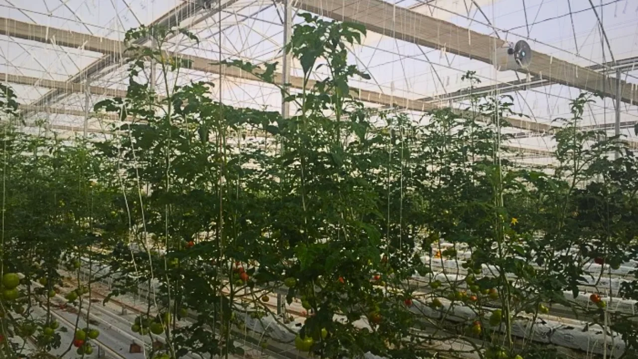 Yozgat Bozok Üniversitesi Ziraat Fakültesi, Çözüm Koleji ortaokul ve lise