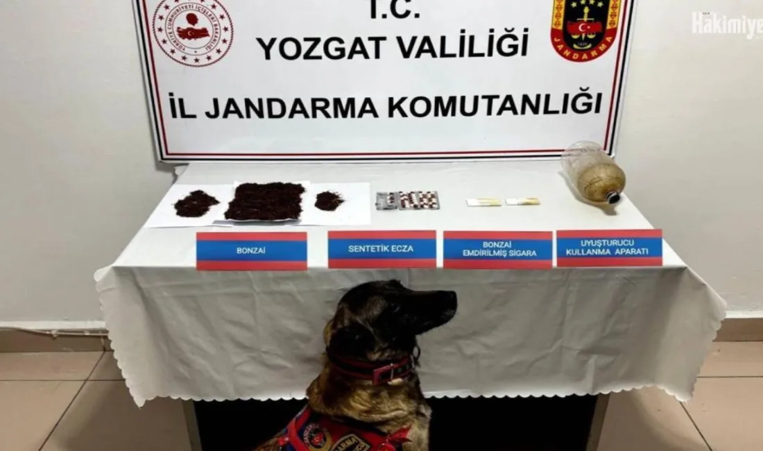 Yozgat'ta jandarma ekiplerinin düzenlediği operasyonda, bir evde 117,76 gram bonzai,