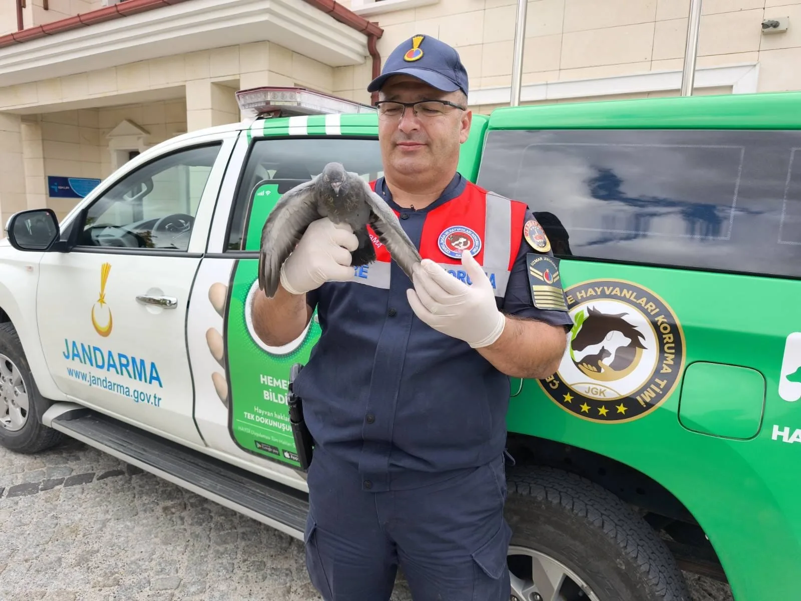 Yozgat’ta jandarma ekipleri, orman yangını denetimi sırasında buldukları yaralı güvercini