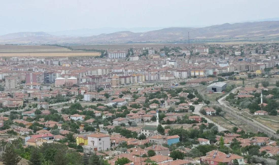 Yozgat’ın Yerköy ilçesinde bir köpeğe şiddet uygulayan şahıs, güvenlik güçleri