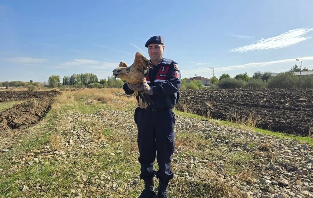 Boğazlıyan ilçesinde devriye görevi sırasında jandarma ekipleri, bitkin halde bir
