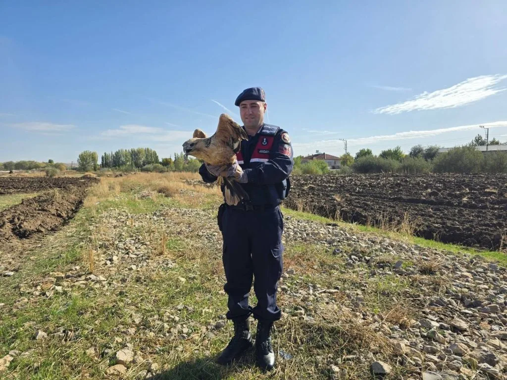 Boğazlıyan ilçesinde devriye görevi sırasında jandarma ekipleri, bitkin halde bir