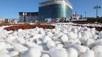 Yozgat Bozok Üniversitesi, 2025-2026 Türkiye Üniversite Sıralaması Raporu'na göre, Tıp