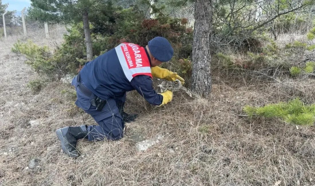 Yozgat Valiliği, çevre bilincinin önemine dikkat çekmek amacıyla “Doğayı korumak,
