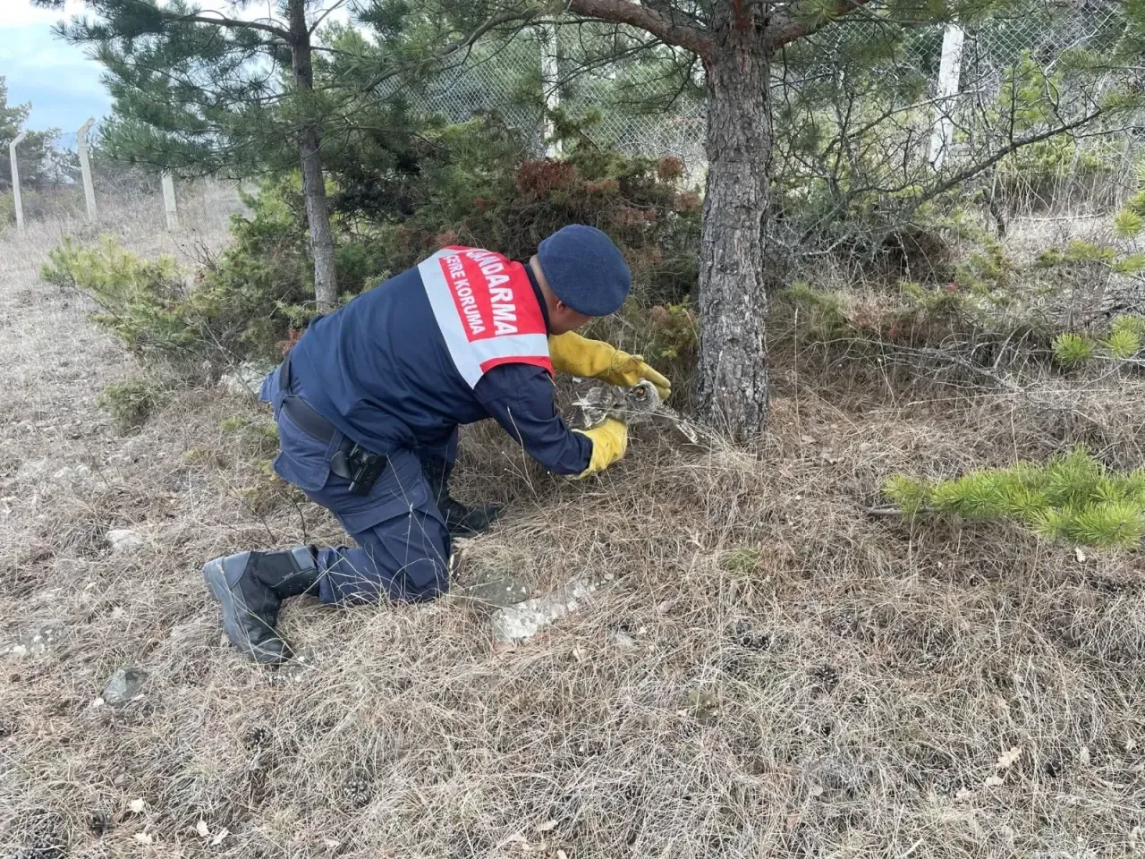 Yozgat Valiliği, çevre bilincinin önemine dikkat çekmek amacıyla “Doğayı korumak,