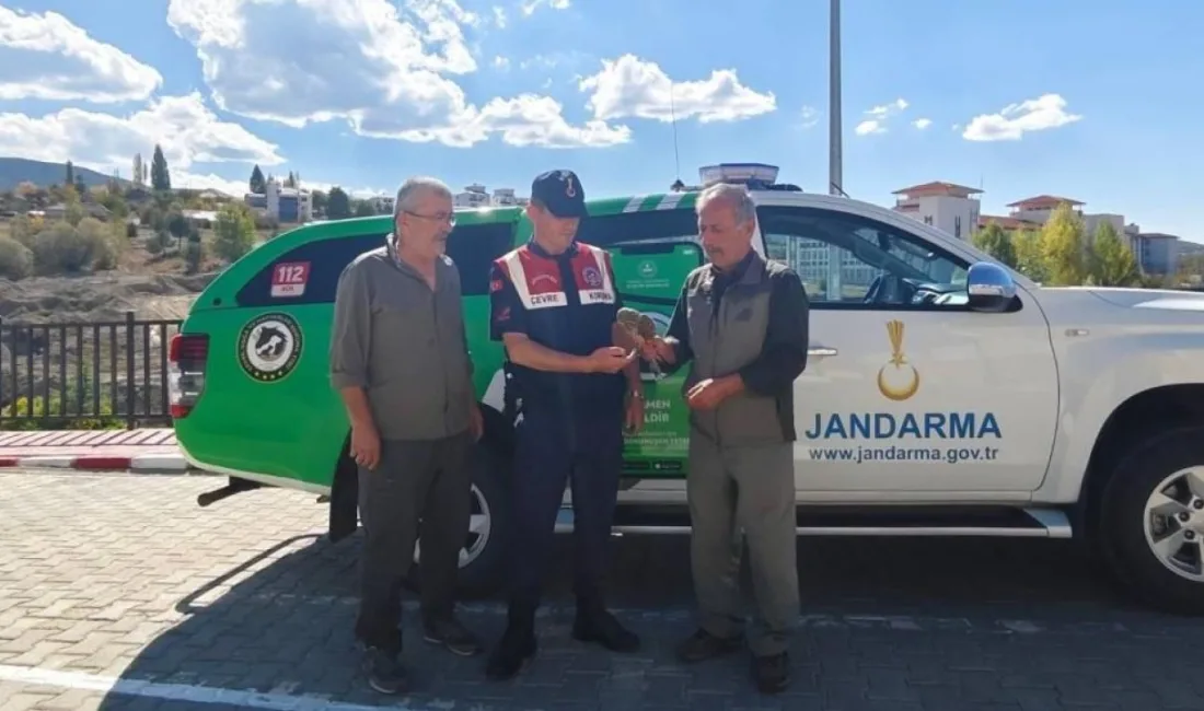 Yozgat’ın Akdağmadeni ilçesinde devriye görevi yürüten jandarma ekipleri, doğada yaralı