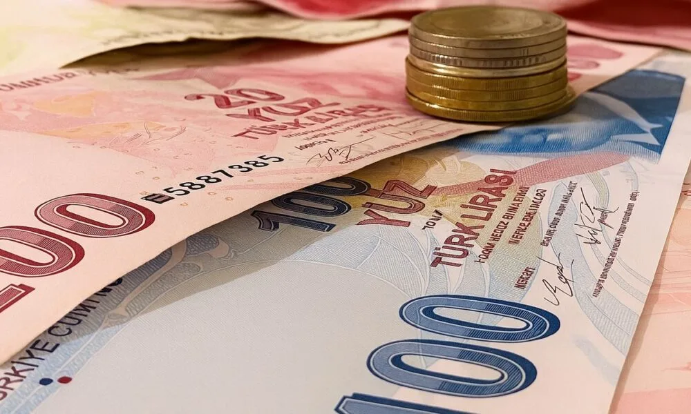 Aile ve Sosyal Hizmetler Bakanlığı, 18-55 yaş arası işsiz vatandaşlara