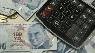 Türkiye İstatistik Kurumu (TÜİK) ve Türkiye Cumhuriyet Merkez Bankası (TCMB)