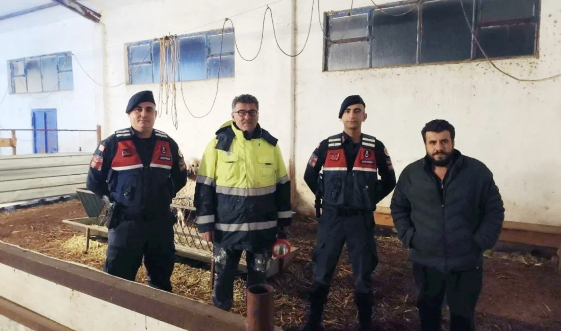 Sorgun İlçe Jandarma Komutanlığı, kaybolan küçükbaş hayvanları kısa süre içinde