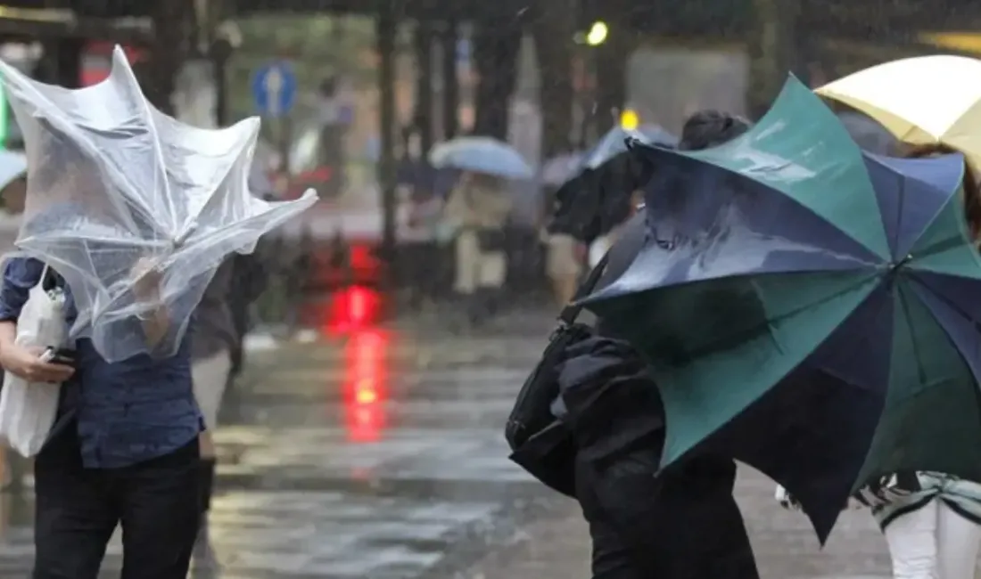 Meteoroloji Genel Müdürlüğü (MGM), 19 Kasım Çarşamba günü yurdun büyük