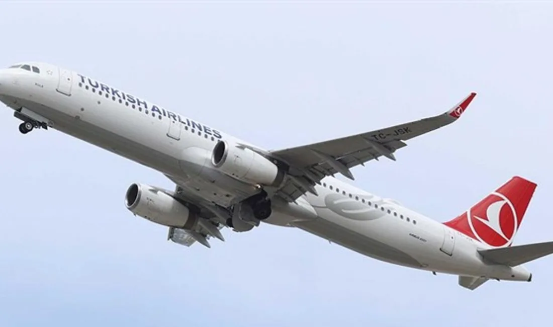 Türk Hava Yolları (THY), yurt içi uçuşlar için düzenlediği indirimli