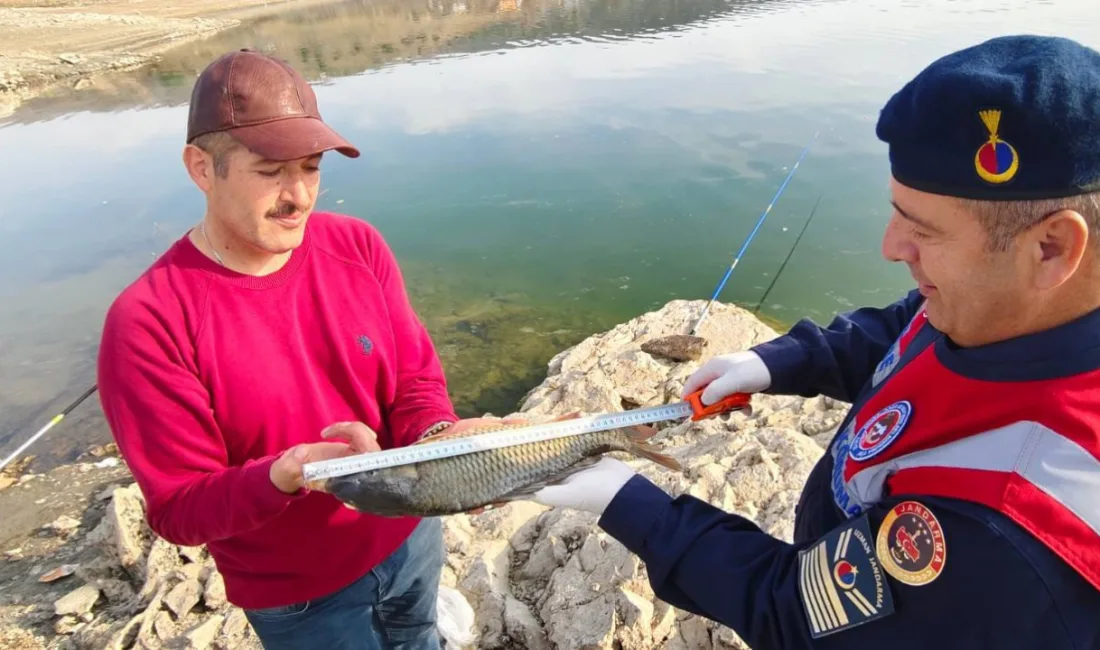Yozgat İl Jandarma Komutanlığı, doğal hayatı korumak amacıyla orman yangınları