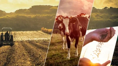 Tarım ve Orman Bakanı İbrahim Yumaklı, toplam 1 milyar 137