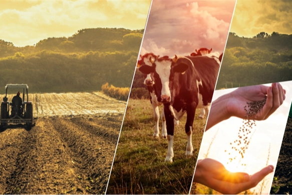 Tarım ve Orman Bakanı İbrahim Yumaklı, toplam 1 milyar 137