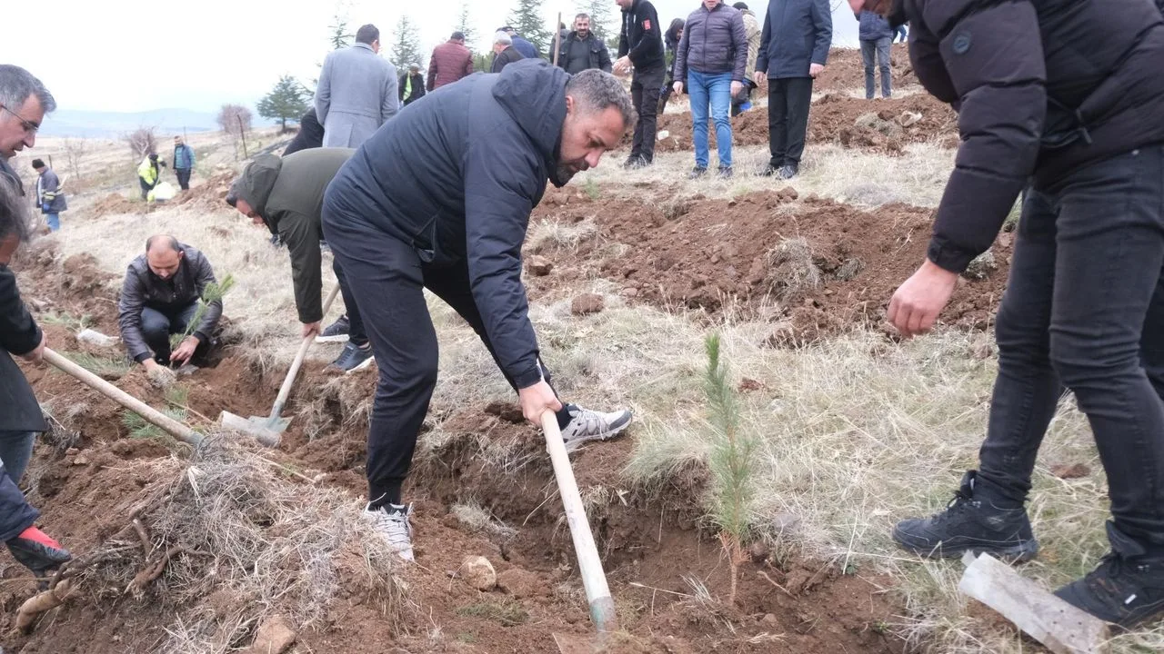 Sorgun Belediyesi’nin Üç Tepeler’de gerçekleştirdiği ağaçlandırma çalışmasında 1. 500 fidan
