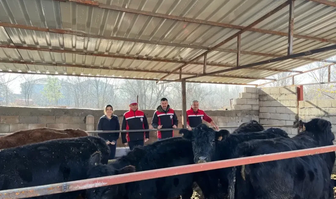 Yozgat’ta hayvancılığı güçlendirmek ve kırsaldaki aile işletmelerini desteklemek amacıyla, Tarım