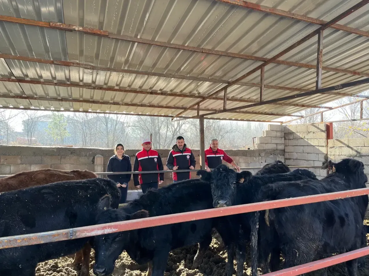 Yozgat’ta hayvancılığı güçlendirmek ve kırsaldaki aile işletmelerini desteklemek amacıyla, Tarım
