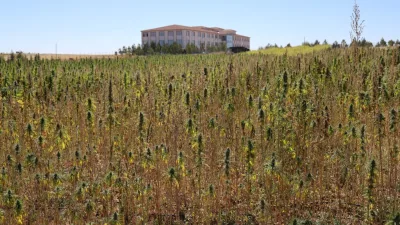 Yozgat Bozok Üniversitesi'nde gerçekleştirilen çalıştayda, tıbbi kenevir konusundaki bilimsel bilgiler,