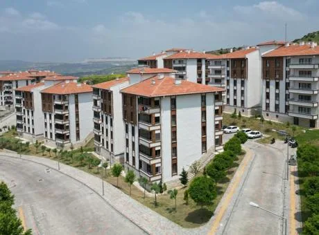 Cumhurbaşkanı Recep Tayyip Erdoğan’ın açıkladığı 81 ilde 500 bin sosyal