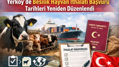 Yerköy İlçe Tarım ve Orman Müdürlüğü, 2026 yılı besilik hayvan