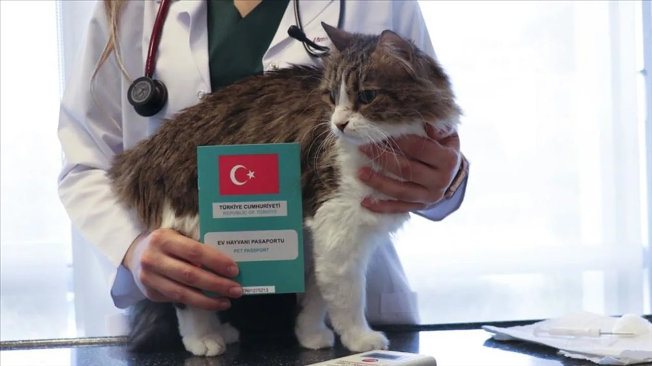 Hayvanları Koruma Kanunu kapsamında il genelinde yılı boyunca 7. 