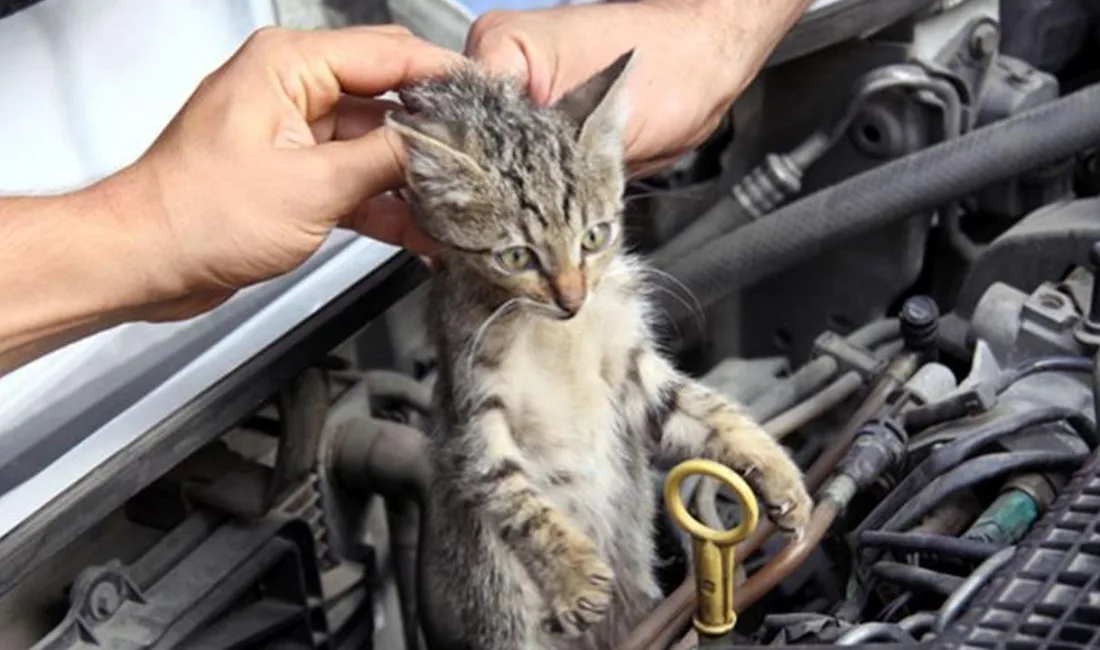 Yozgat Valiliği, kar yağışı ve düşen hava sıcaklıkları nedeniyle sokak