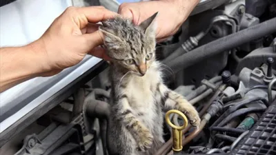 Yozgat Valiliği, kar yağışı ve düşen hava sıcaklıkları nedeniyle sokak