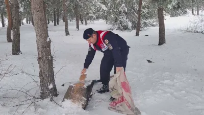 Ormanlık alanlarda yaban hayvanlarına yem bırakma faaliyetleri sürdürülürken, çevre denetimleri