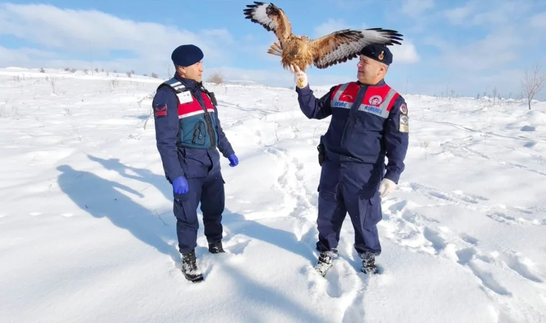 Yozgat’ın Sorgun ilçesinde Jandarma HAYDİ ekipleri tarafından yaralı ve bitkin