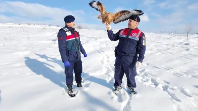 Yozgat’ın Sorgun ilçesinde Jandarma HAYDİ ekipleri tarafından yaralı ve bitkin