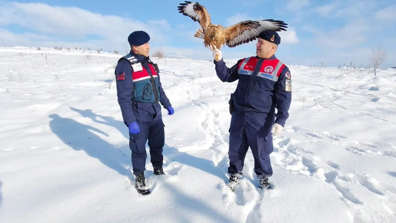 Yozgat’ın Sorgun ilçesinde Jandarma HAYDİ ekipleri tarafından yaralı ve bitkin