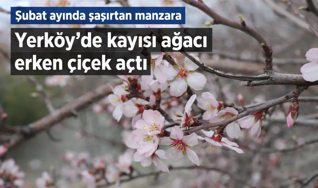 Yerköy ilçemizde mevsim normallerinin üzerinde seyreden hava sıcaklıkları, doğada erken