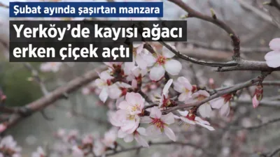 Yerköy ilçemizde mevsim normallerinin üzerinde seyreden hava sıcaklıkları, doğada erken